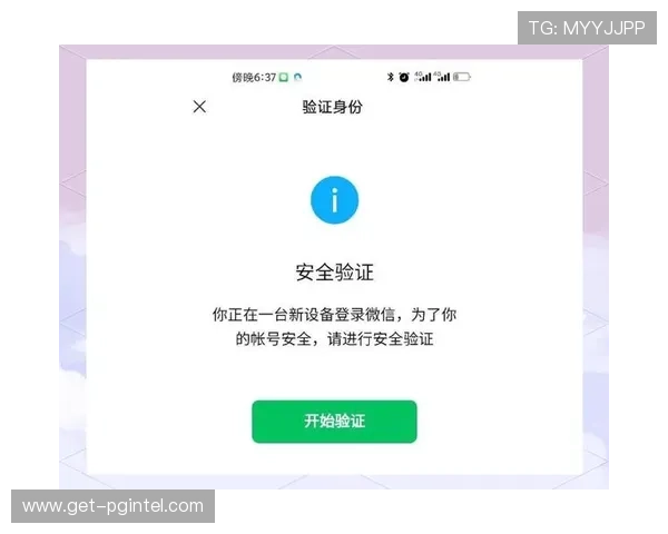 PG娱乐手机版会员登录安全保障措施，保障你的账号信息安全